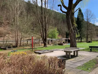 Ein ruhiger Park mit einer Wiese, Bänken und Spielgeräten. Im Hintergrund sind Bäume und ein kleiner Fluss sichtbar. Hier ist der Spielpatz von der Freizeitanlage in Elmstein zu sehen.