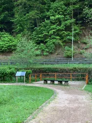 Ein ruhiger Weg durch eine grüne Landschaft mit Bäumen im Hintergrund. Eine kleine Aussichtsplattform mit einer Bank lädt zum Verweilen ein.