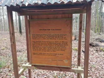 Infotafel Museumswald