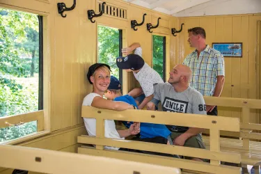 Eine Gruppe von Menschen sitzt in einem hellen, sonnigen Zugabteil. Durch die Fenster sieht man grüne Bäume und eine freundliche Atmosphäre.