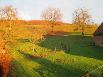 Blick in den Garten