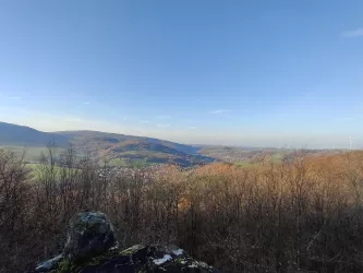 Ausblick