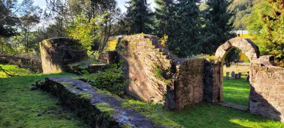 Eine alte Ruine umgeben von grüner Vegetation. Die Mauern sind teilweise von Moos bewachsen und im Hintergrund stehen hohe Bäume.