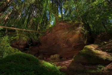 Kuhfelsen am Steinenschlossweg (© Dirk Werber)