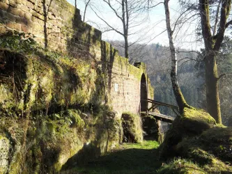 Eine alte, moosbewachsene Ruine aus Steinen, umgeben von Bäumen. Im Hintergrund sind sanfte Hügel zu sehen.