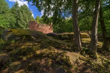Steinenschloss (1) (© Dirk Weber)