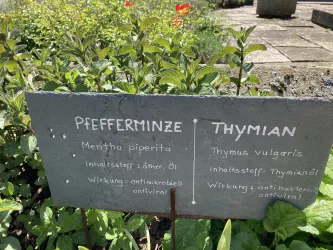 Kräutergarten Freckenfeld - angebaute Kräuter