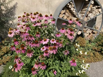 Kräutergarten Freckenfeld