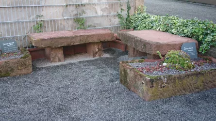 Ruhebänke im Kräutergarten Freckenfeld