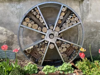 Kräutergarten Freckenfeld - Rad