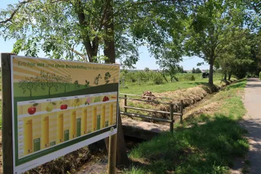 Bienenlehrpfad Freckenfeld