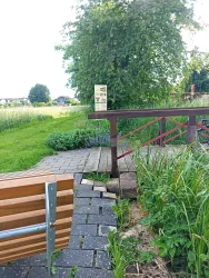 Ruheliege am Bach in Freckenfeld Ausblick