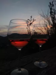 Ausblick_vom_Balkon