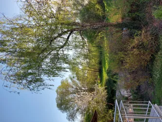Ausblick vom Schlafzimmer
