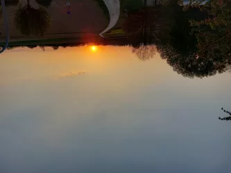 Sonnenuntergang  am nahen Feldweg