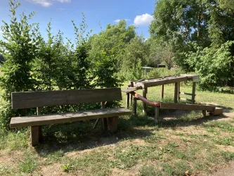Zwei Holzbänke stehen in einem grünen Bereich mit Bäumen. Im Hintergrund sind Sträucher und Pflanzen zu sehen.