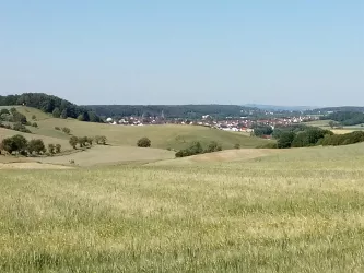 Landschaft um Katzweiler (© Sabine Kallenborn)