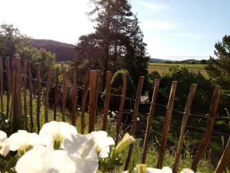 Blick von Terrasse (© Sabine Kallenborn)