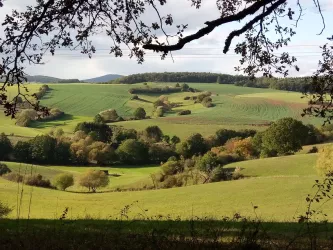 Landschaft Katzweiler (© Sabine Kallenborn)