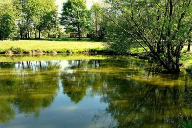 Katzweiler Landschaftsweiher mit Wassertretbecken (© Tourist-Info Otterbach-Otterberg)