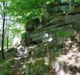 Ein schmaler Wanderweg führt durch einen Wald mit grünen Bäumen und großen Felsen. Ein Wegweiser weist in die Richtung des Pfades.