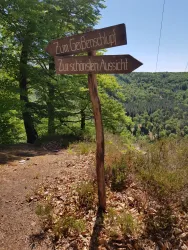 Ein Holzwegweiser zeigt in zwei Richtungen. Er weist auf den Geißensuhl und die schönste Aussicht hin.