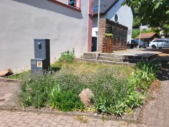 Eine kleine Grünfläche mit verschiedenen Pflanzen und einem grauen Trinkbrunnen. Im Hintergrund sind Treppen und ein Teil eines Hauses zu sehen.