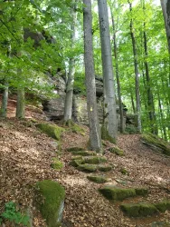 Alter Postweg an den Hubertusfelsen