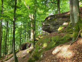 Alter Postweg an den Hubertusfelsen