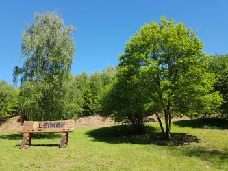 Holzbank vor Leimen/Pfalz