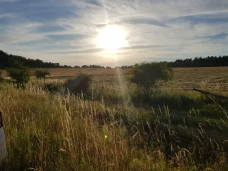 Sonnenuntergang über den Pferdeweiden
