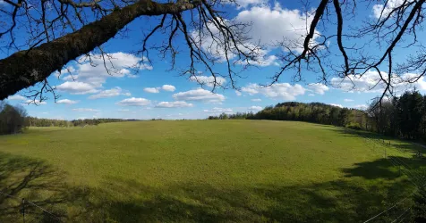 Blick auf die Pferdekoppeln