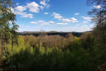 Panoramablick vom Hohen Fels