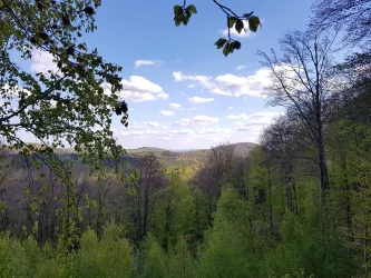 Blick vom Hohen Fels