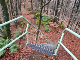 Außentreppe im Herbst