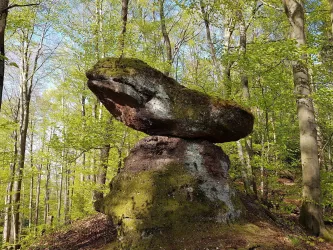 Kleiner Felsentisch beim Hohen Fels