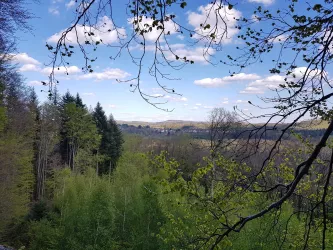 Blick vom Hohen Fels Richtung Leimen