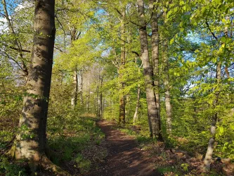 Alter Postweg beim Neubaugebiet Leimen/Pfalz