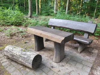 Eine rustikale Holzbank mit einem Tisch und einem Baumstamm in einem Wald. Die Umgebung ist grün und natürlich.
