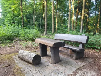 Eine rustikale Holzbank mit einem Tisch steht in einem grünen Wald. Im Hintergrund sind Bäume und Sträucher zu sehen.