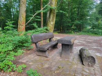 Eine rustikale Holzbank und ein Tisch stehen im Wald. Umgeben sind sie von grünen Pflanzen und Bäumen.