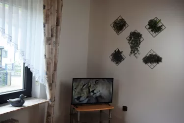 Wohnzimmer TV