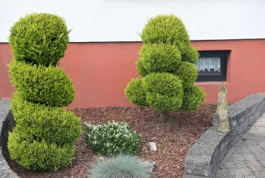 Was fürs Auge
