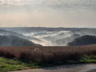 Blick in den Pfälzerwald