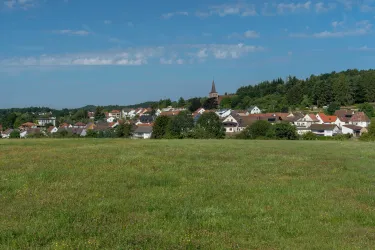 Blick auf Leimen