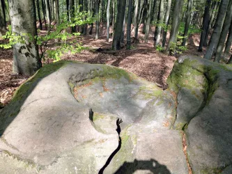 Keltische Opferschale beim Maimontgipfel (© Jacques Noll)