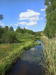 Romantische Sauer