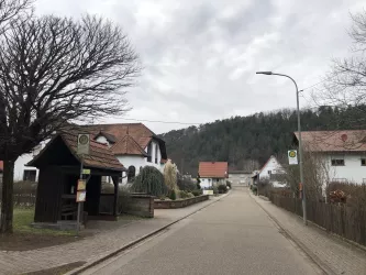 Bushaltestelle Fischbach-Petersbächel Ortsmitte (© Adrian Stilgenbauer)