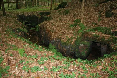 Deckenborn Quelle (© Jacques Noll)