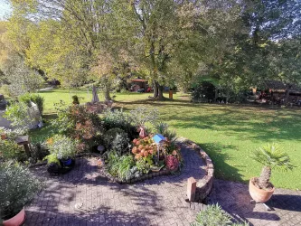 blick in den Garten